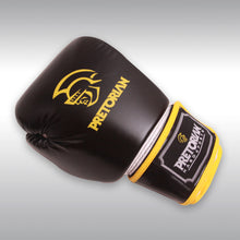 Load image into Gallery viewer, PRETORIAN BOXING GLOVES