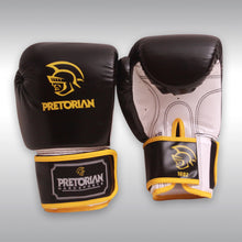 Load image into Gallery viewer, PRETORIAN BOXING GLOVES