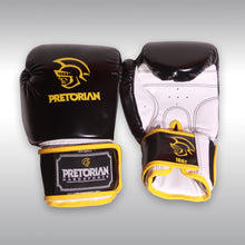 Load image into Gallery viewer, PRETORIAN BOXING GLOVES
