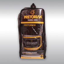 Load image into Gallery viewer, PRETORIAN BOXING GLOVES