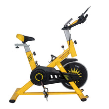 Load image into Gallery viewer, TIMESPORTS | SPIN BIKE FLYWHEEL | CMCA-GE133
