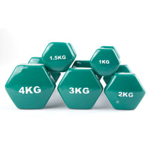 Load image into Gallery viewer, TIMESPORTS | DUMBBELLS |
